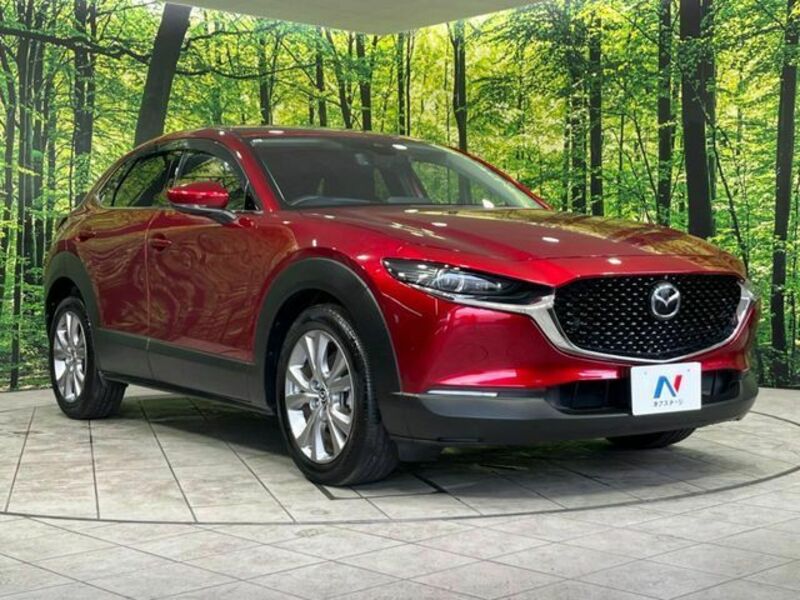 CX-30