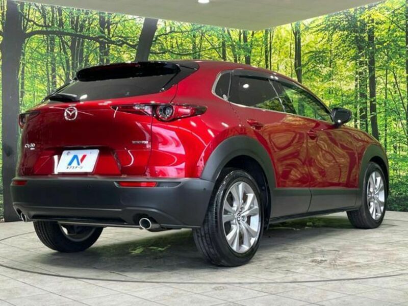 CX-30