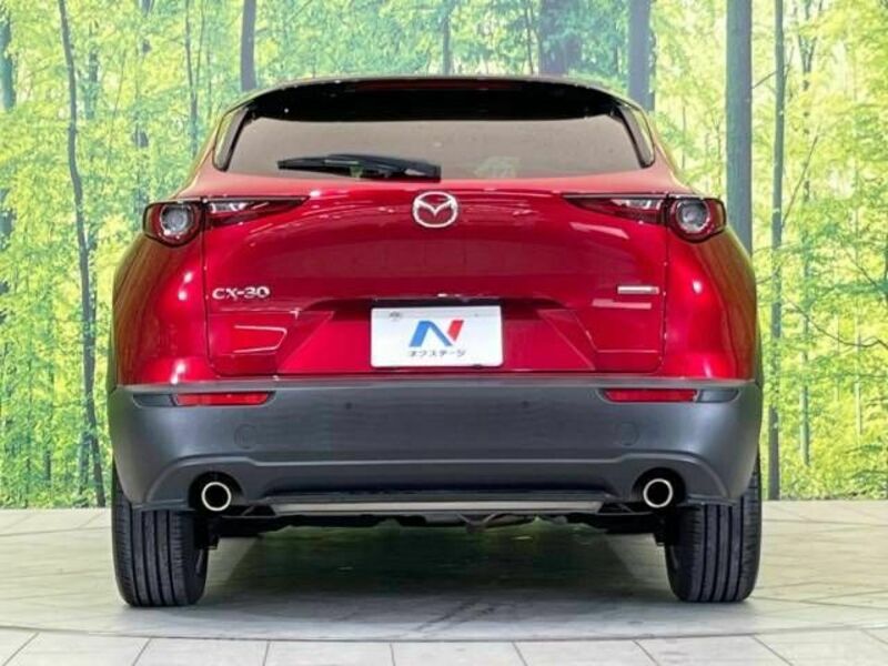 CX-30