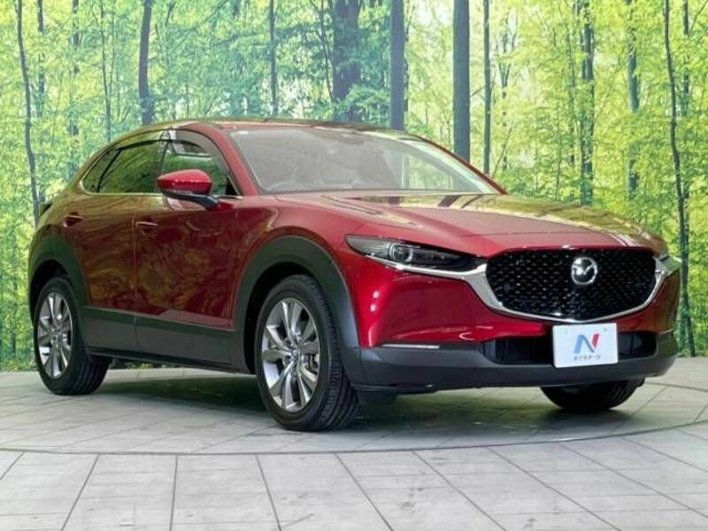 CX-30