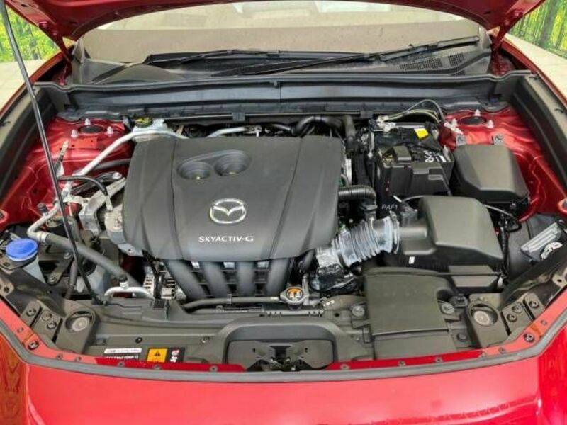 CX-30