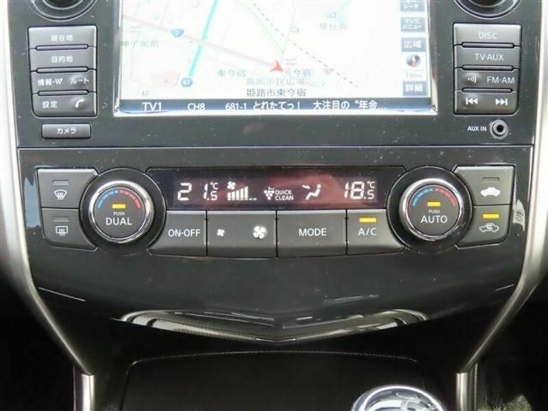 TEANA-10