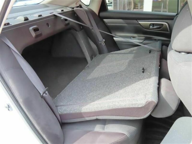 TEANA-29