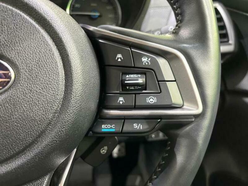 FORESTER-6