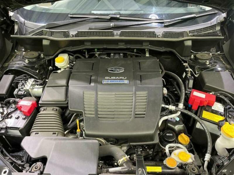 FORESTER-18