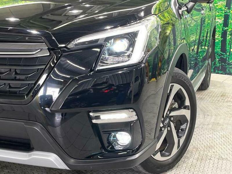 FORESTER-12