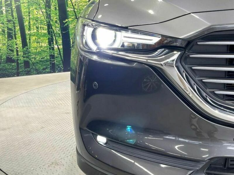 CX-8-12