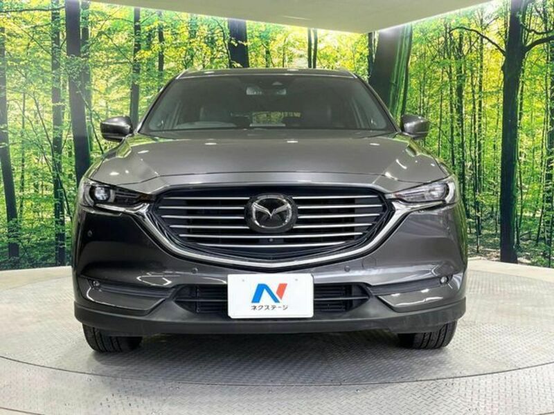 CX-8-14