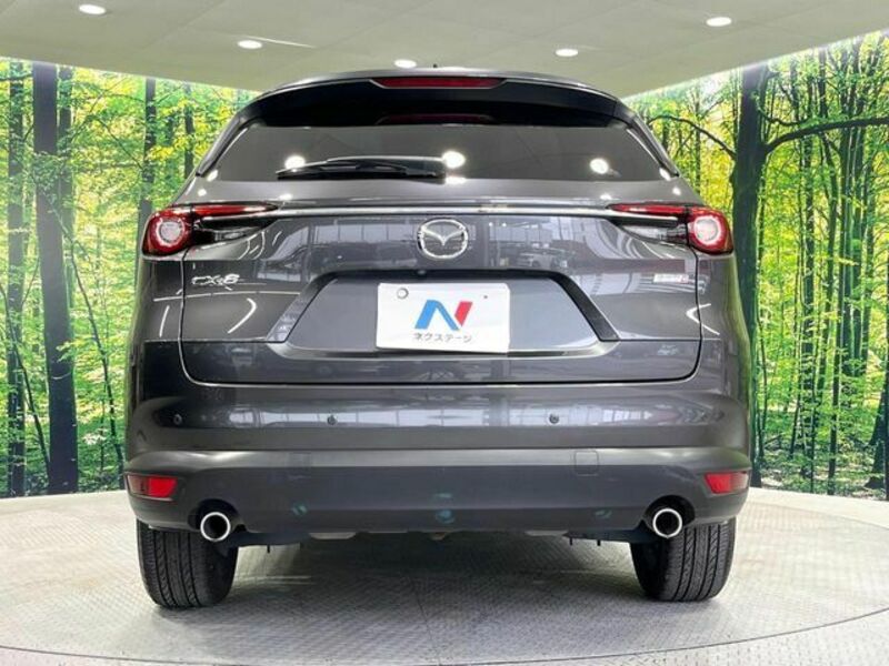 CX-8-15