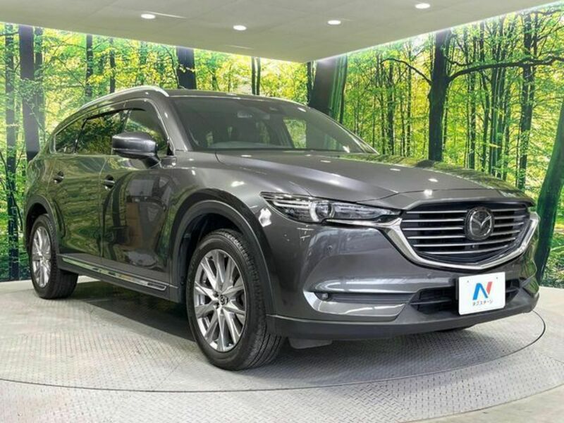CX-8-16