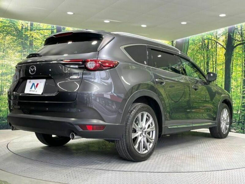 CX-8-17