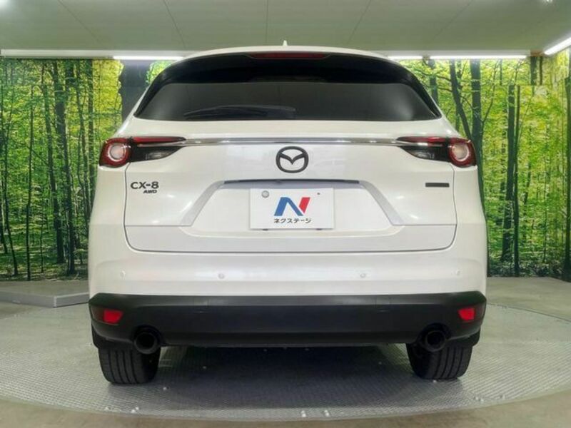 CX-8
