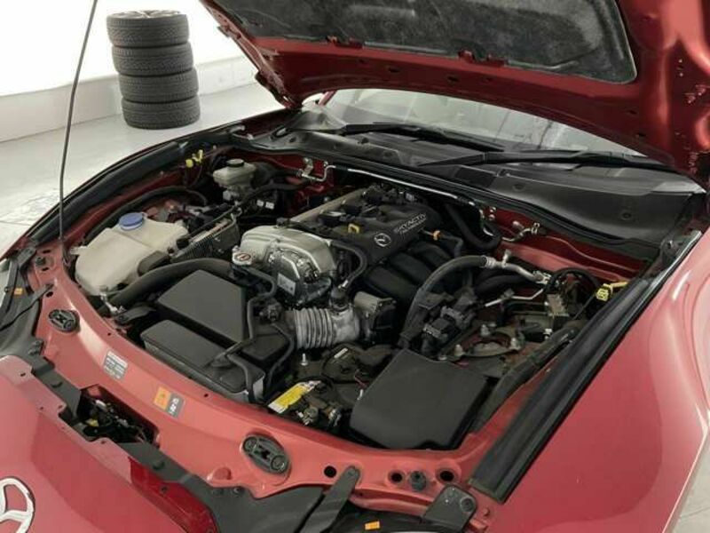ROADSTER RF