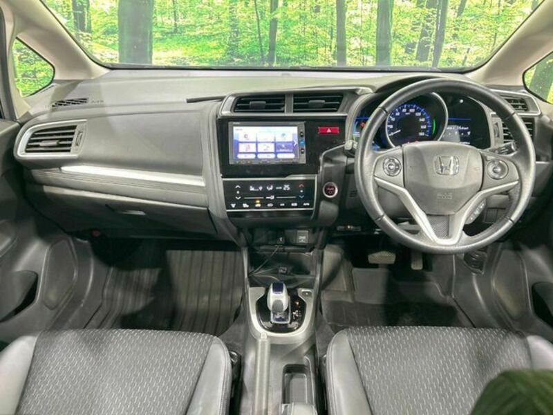 FIT HYBRID-1