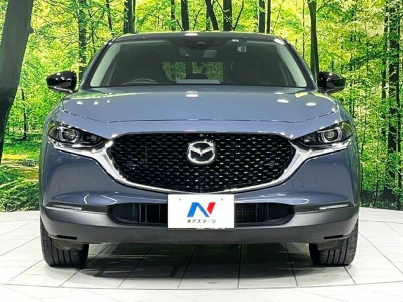 CX-30