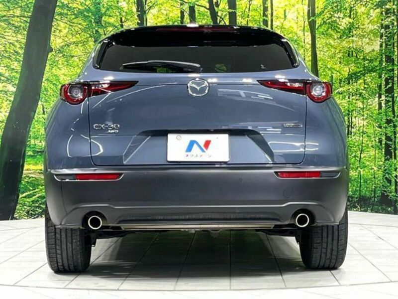CX-30