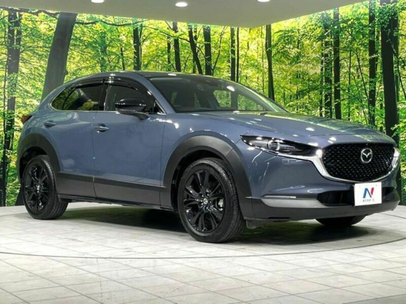 CX-30