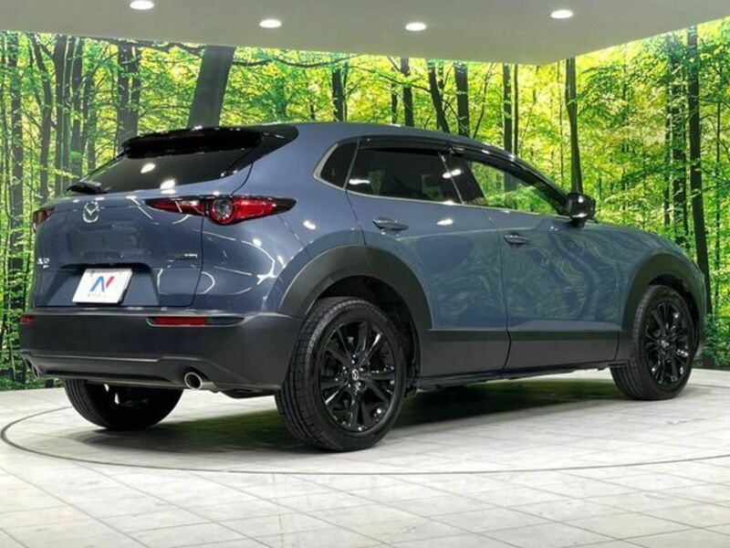 CX-30