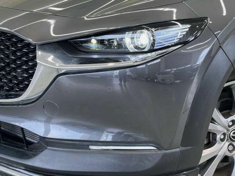CX-30