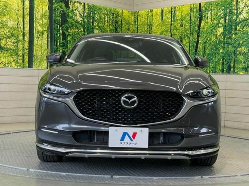 CX-30