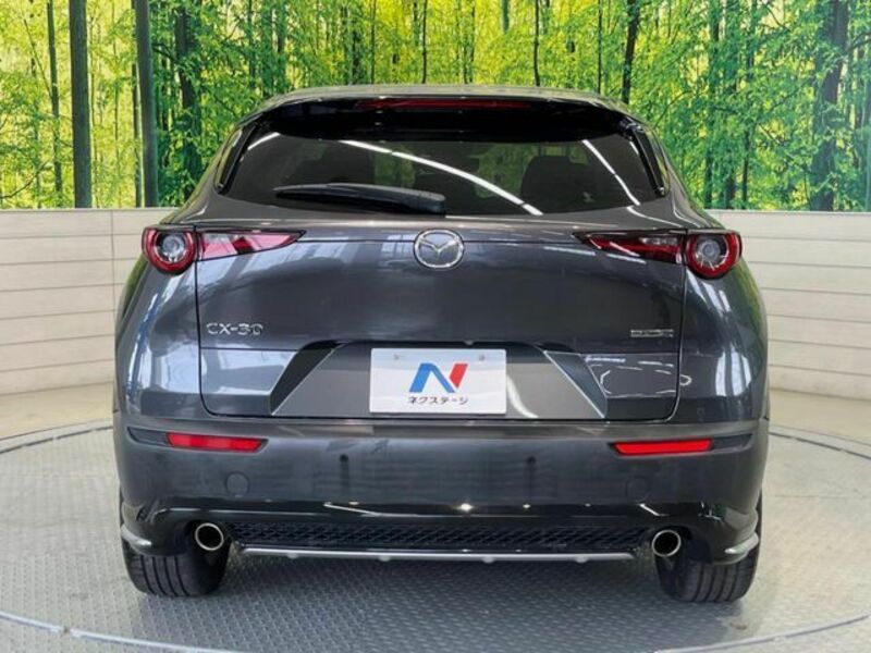 CX-30