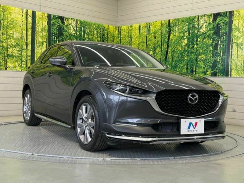 CX-30