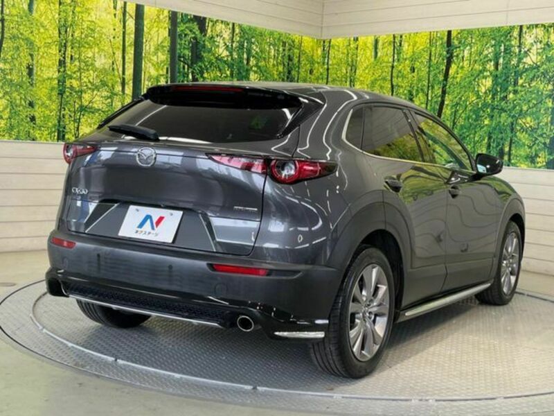 CX-30