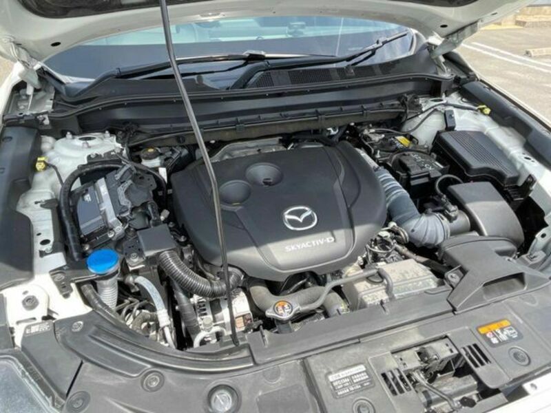CX-8
