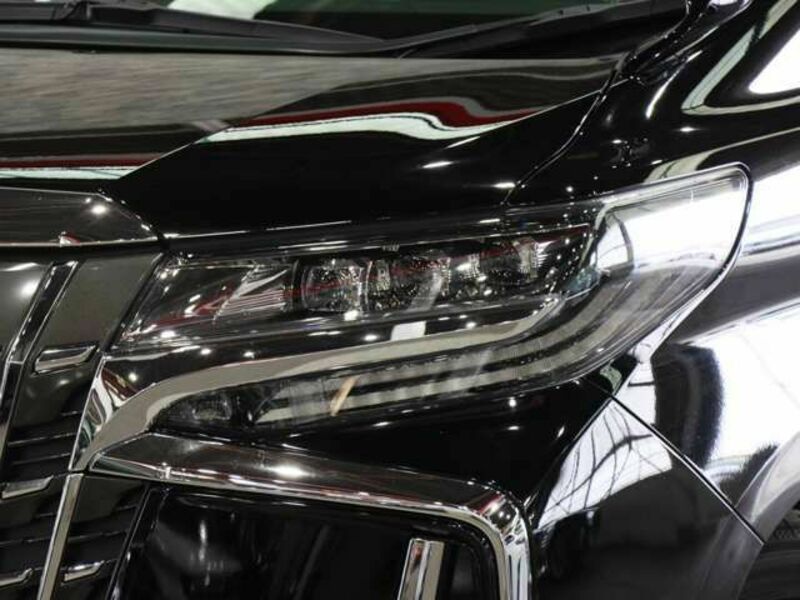 ALPHARD-6