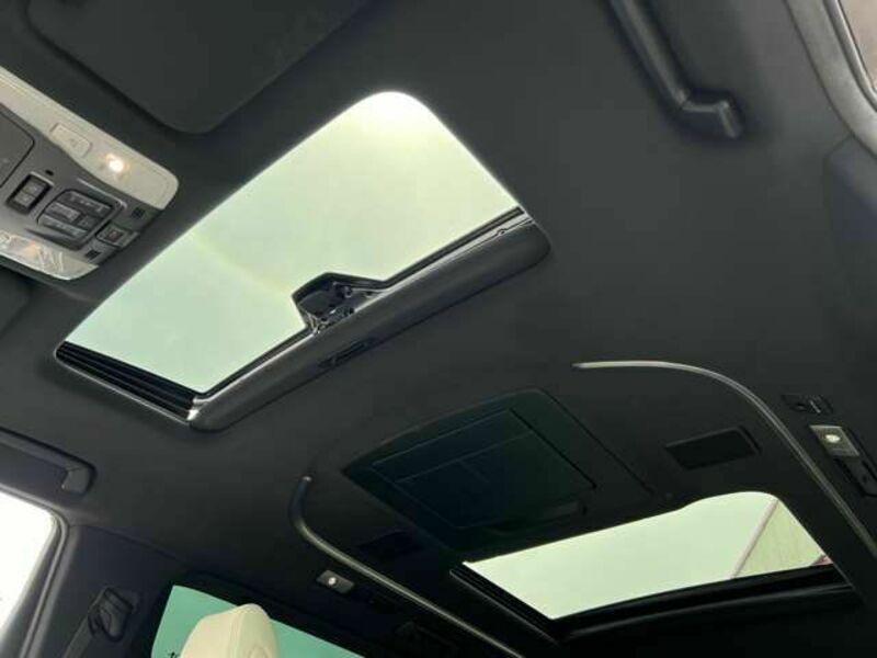 ALPHARD-6