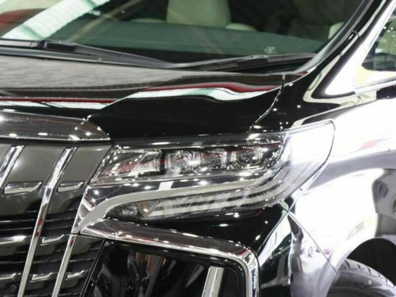 ALPHARD-17