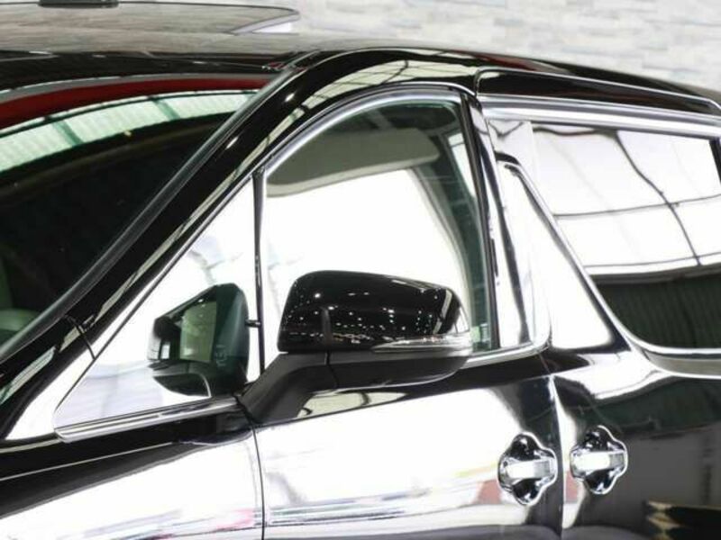 ALPHARD-19