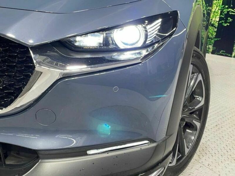 CX-30