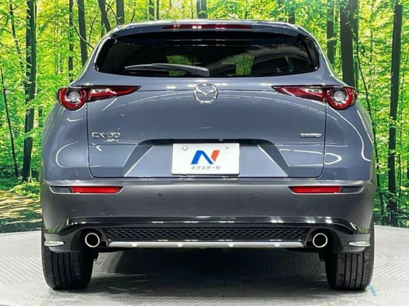 CX-30