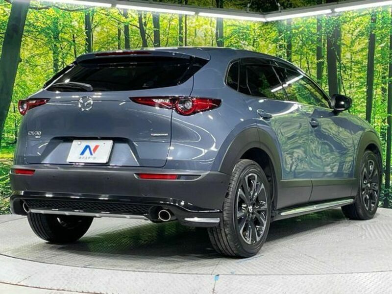 CX-30