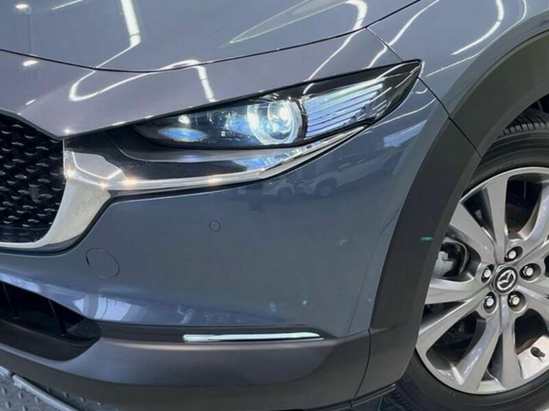 CX-30