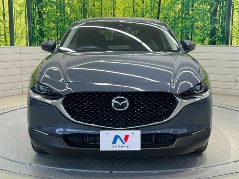 CX-30