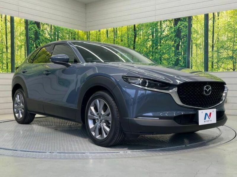 CX-30