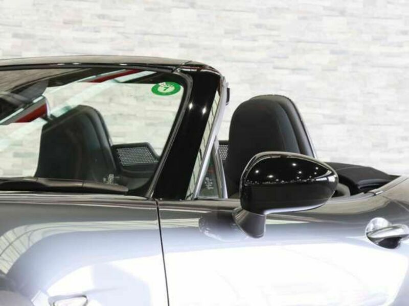 ROADSTER