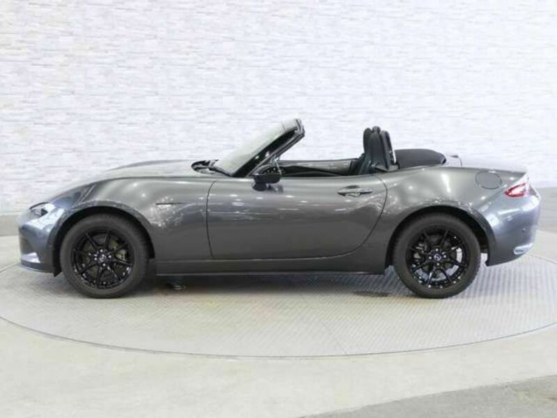 ROADSTER