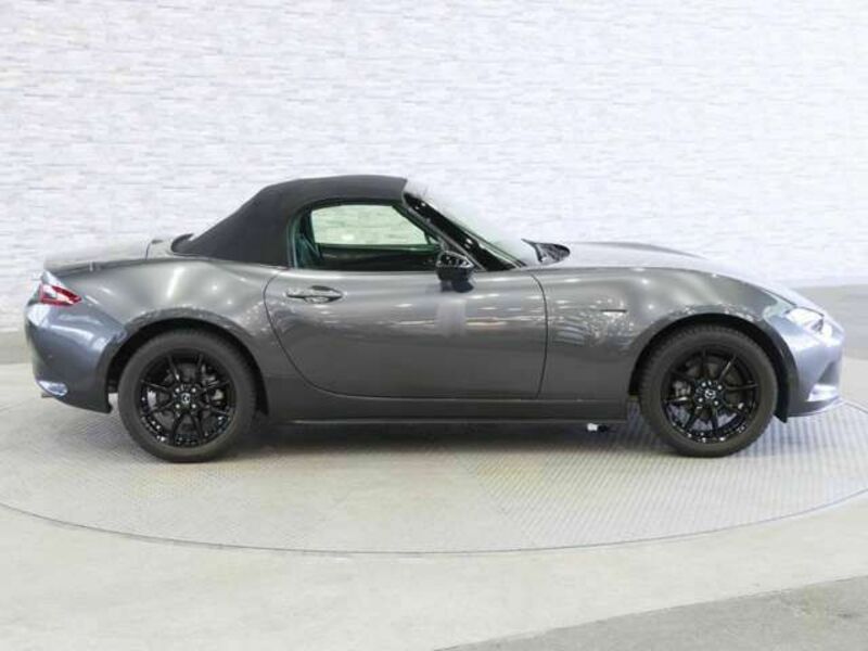 ROADSTER