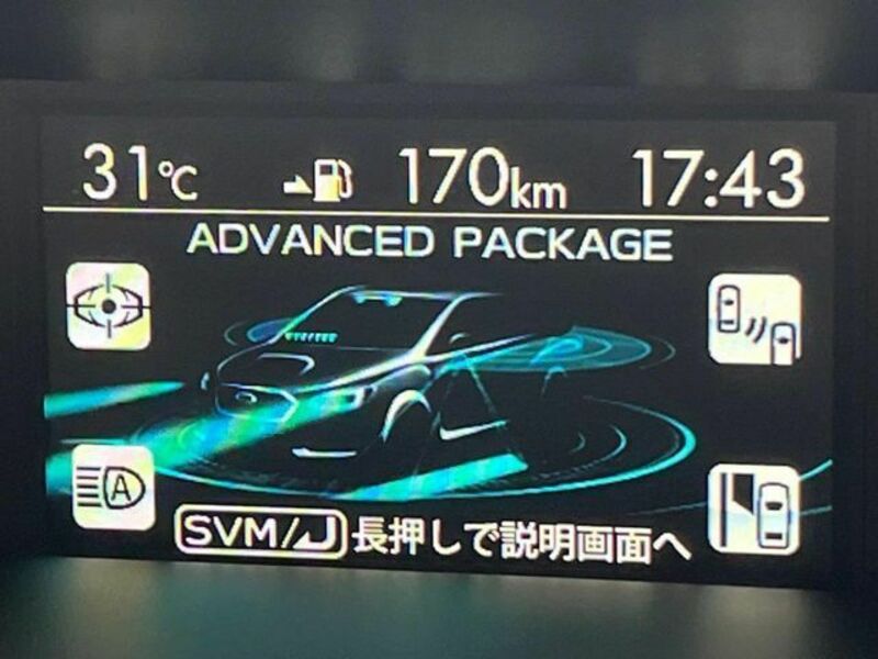 LEVORG