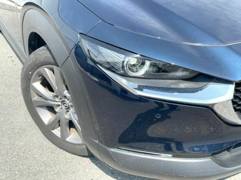 CX-30