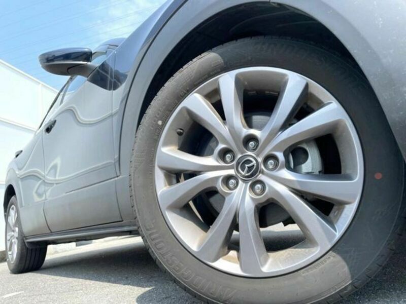 CX-30