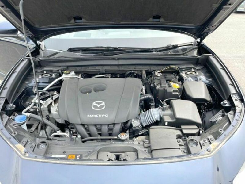 CX-30