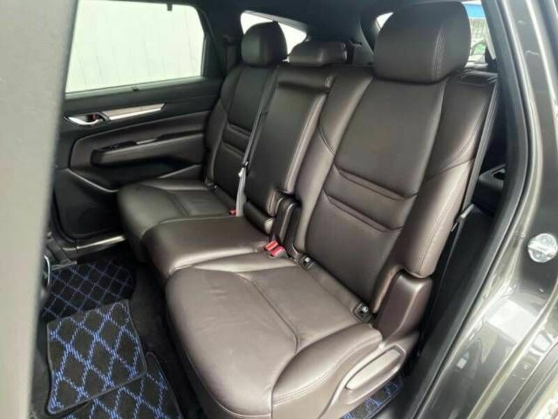 CX-8-10