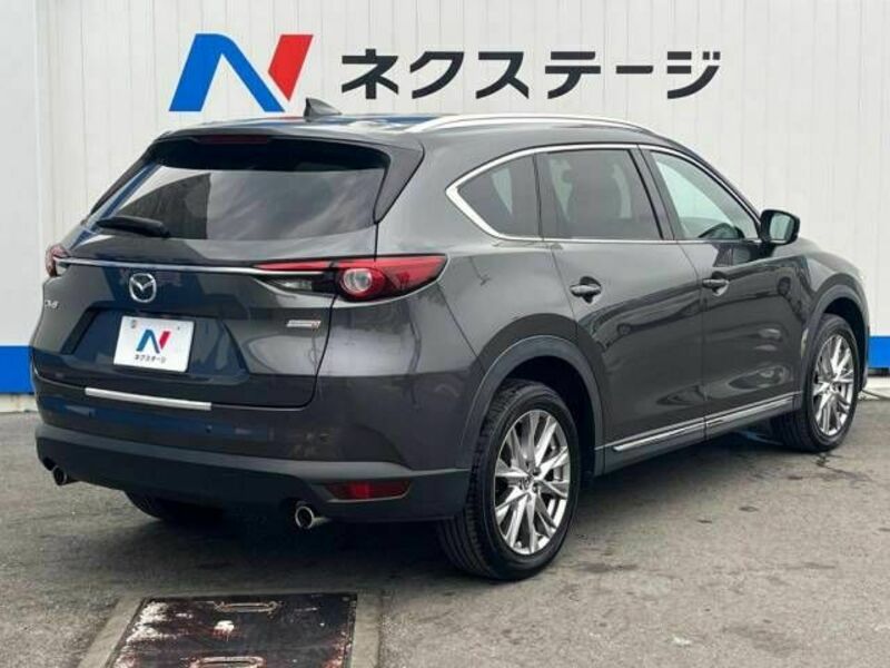 CX-8-18