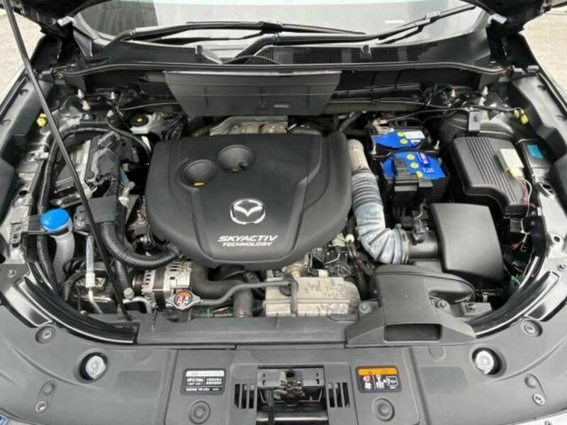 CX-8-19