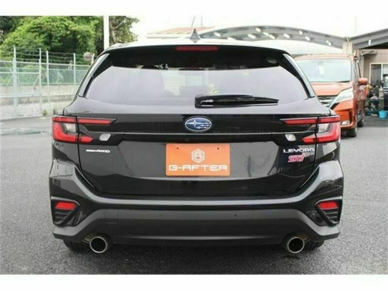 LEVORG