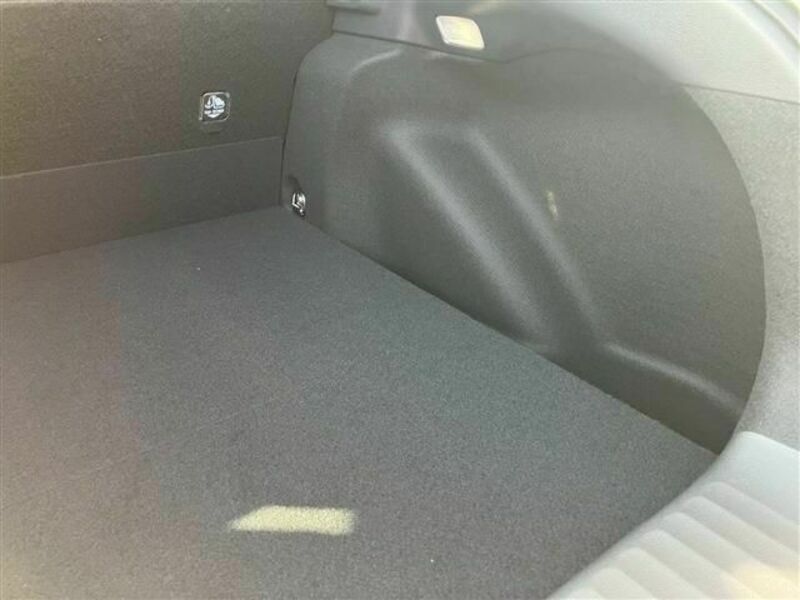 PRIUS-16